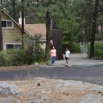 DSC_0183_01 (August 15, 2020)